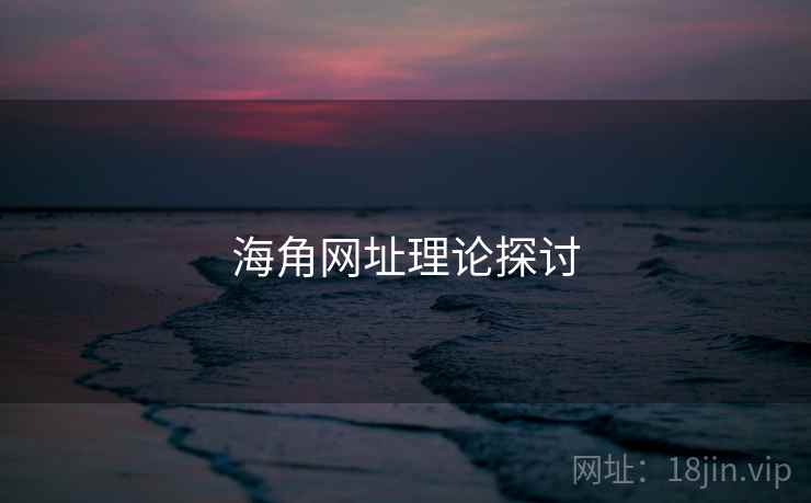 海角网址理论探讨  第2张
