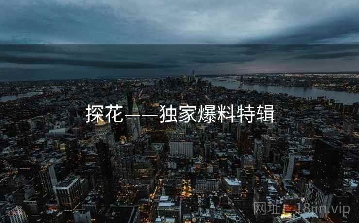 探花——独家爆料特辑  第2张