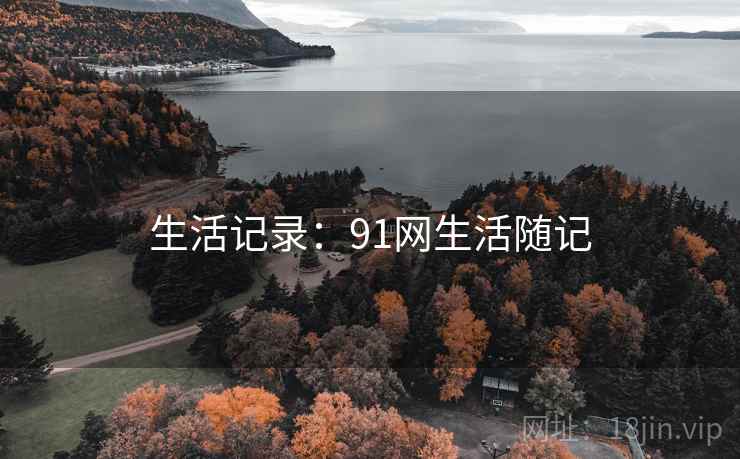 生活记录：91网生活随记