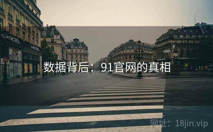 数据背后：91官网的真相