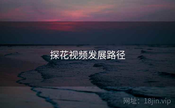 探花视频发展路径