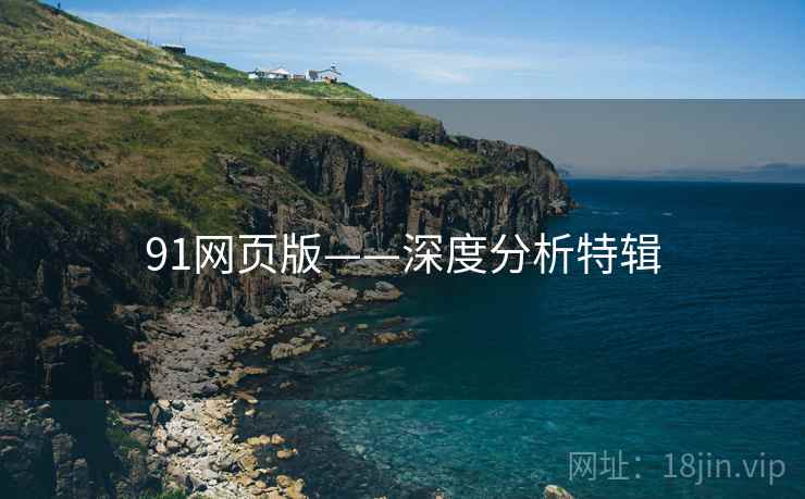 91网页版——深度分析特辑